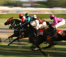 Cheltenham Gold Cup, last furlong