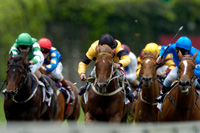 Cheltenham Gold Cup, racing 04